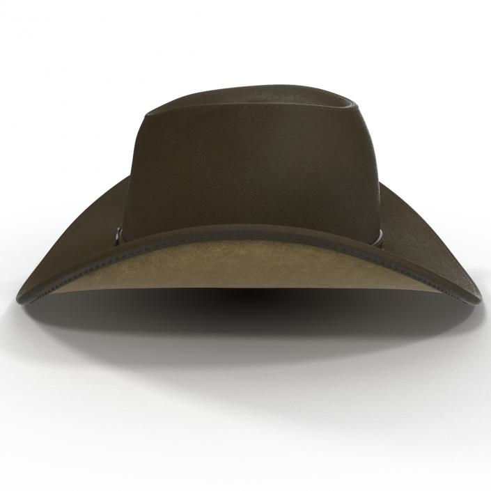 Cowboy Hat 2 3D