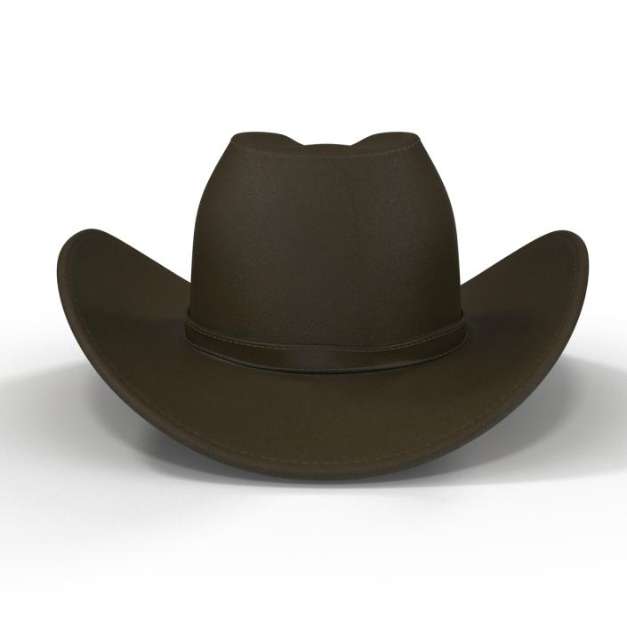 Cowboy Hat 2 3D