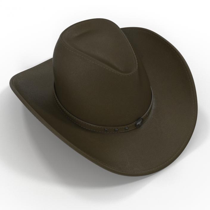 Cowboy Hat 2 3D