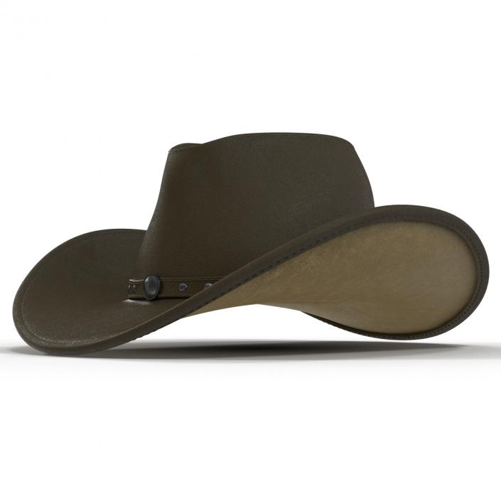 Cowboy Hat 2 3D