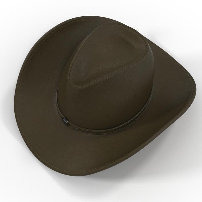 Cowboy Hat 2 3D