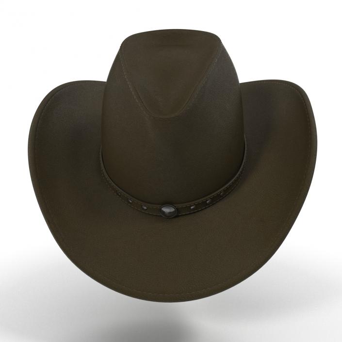 Cowboy Hat 2 3D