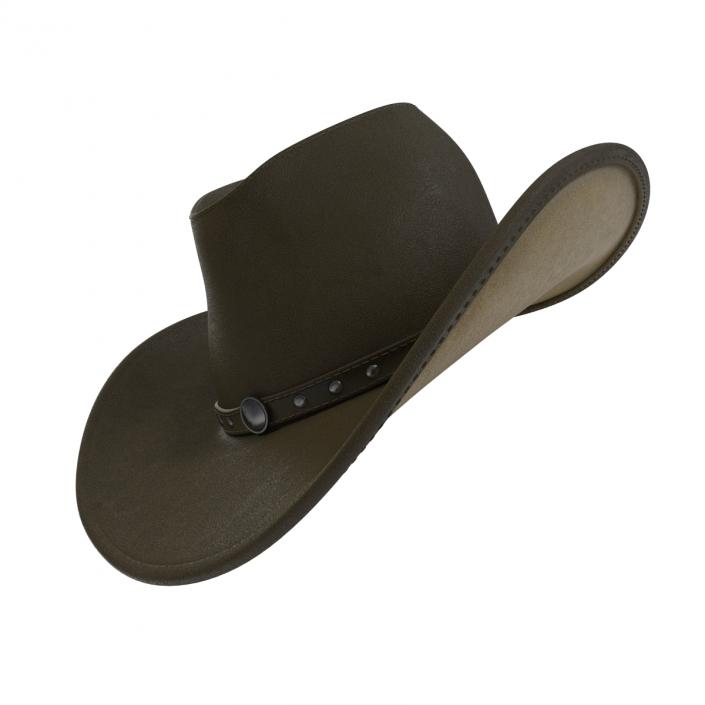 Cowboy Hat 2 3D