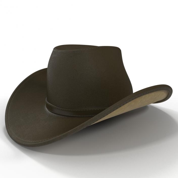 Cowboy Hat 2 3D