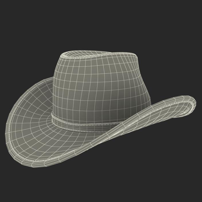 Cowboy Hat 2 3D