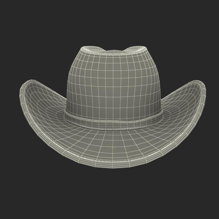 3D Old Cowboy Hat 2