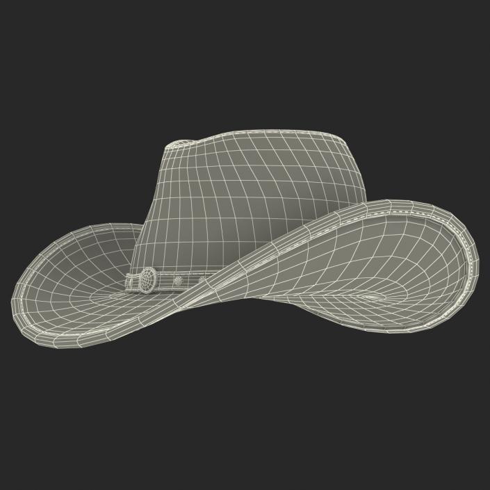 3D Old Cowboy Hat 2