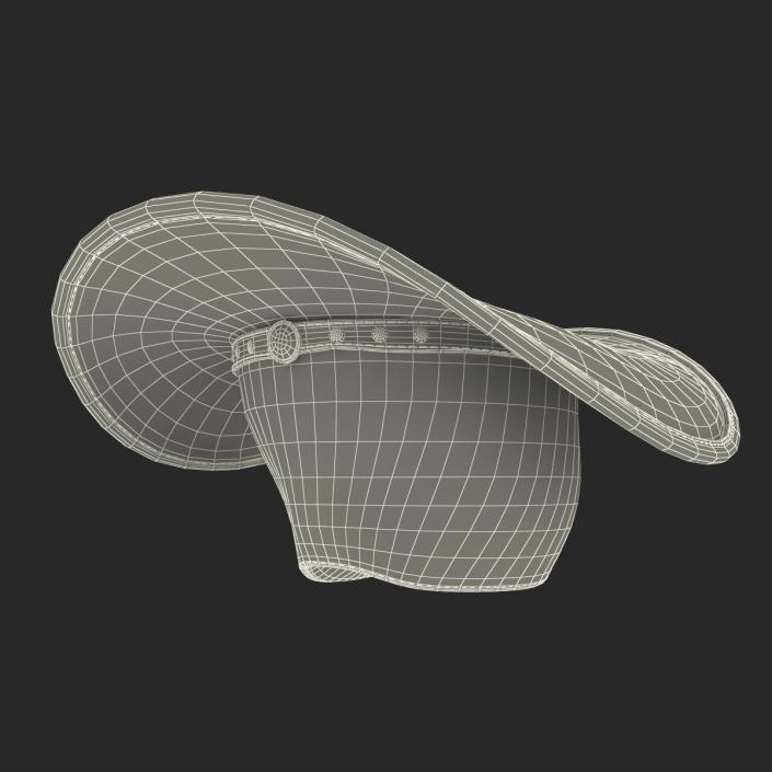 3D Old Cowboy Hat 2