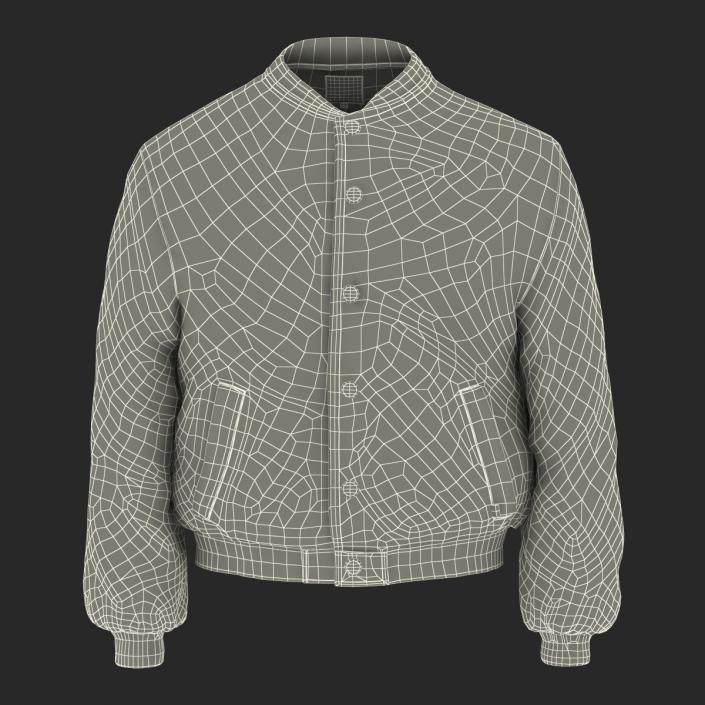 3D model Baseball Jacket