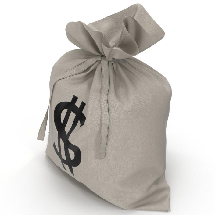 3D Money Bag Dollar