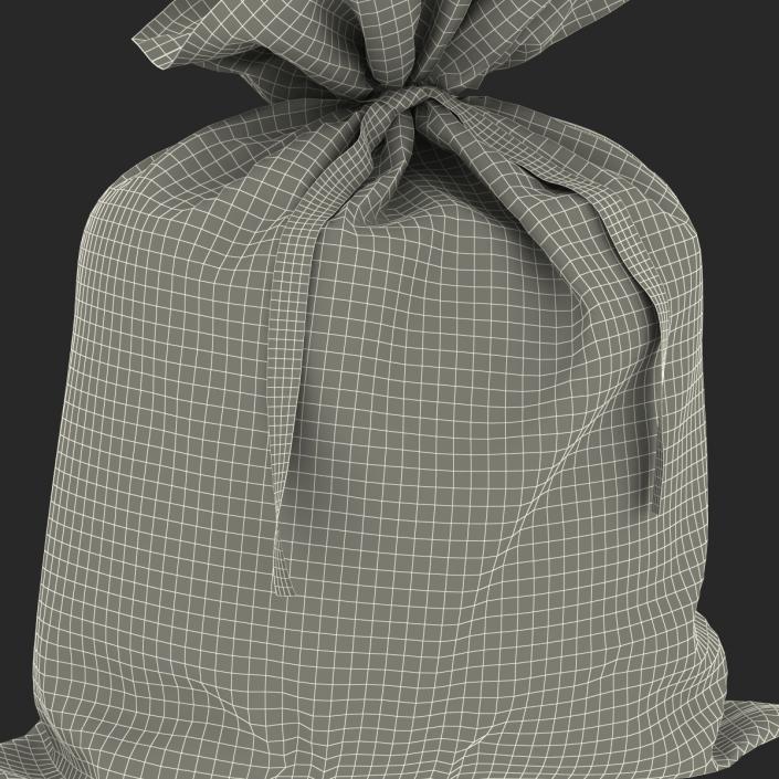 3D Money Bag Dollar