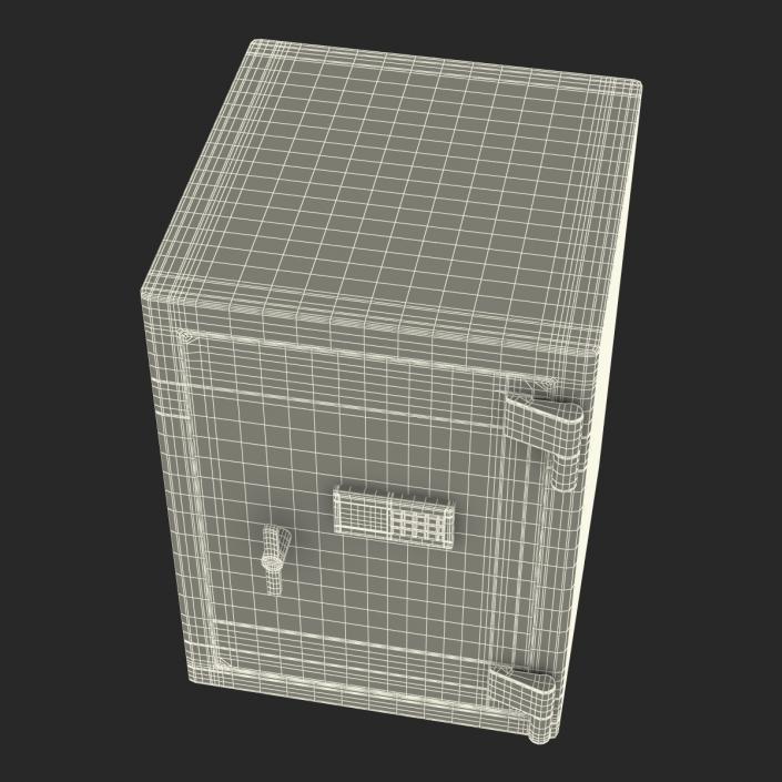 Safe Generic 2 3D model