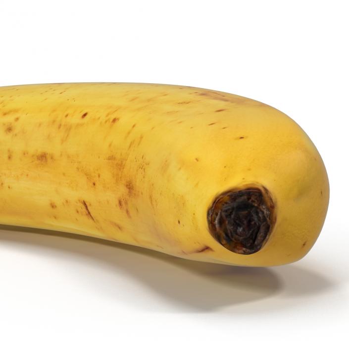 3D model Banana