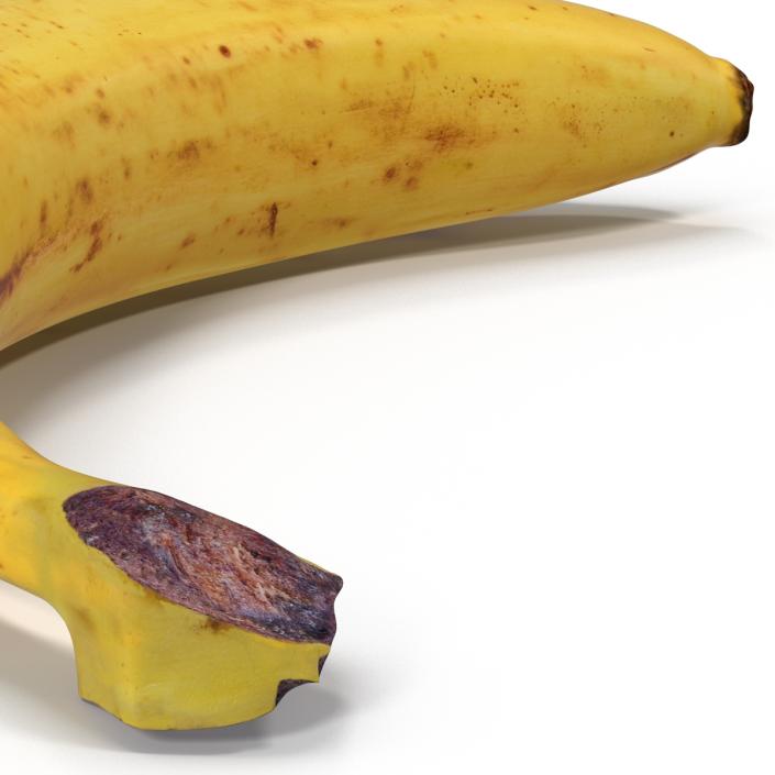 3D model Banana