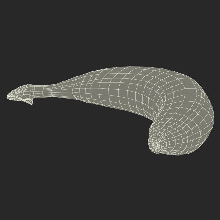 3D model Banana