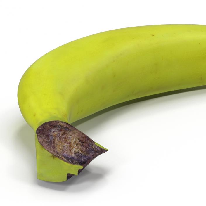 Green Banana 3D