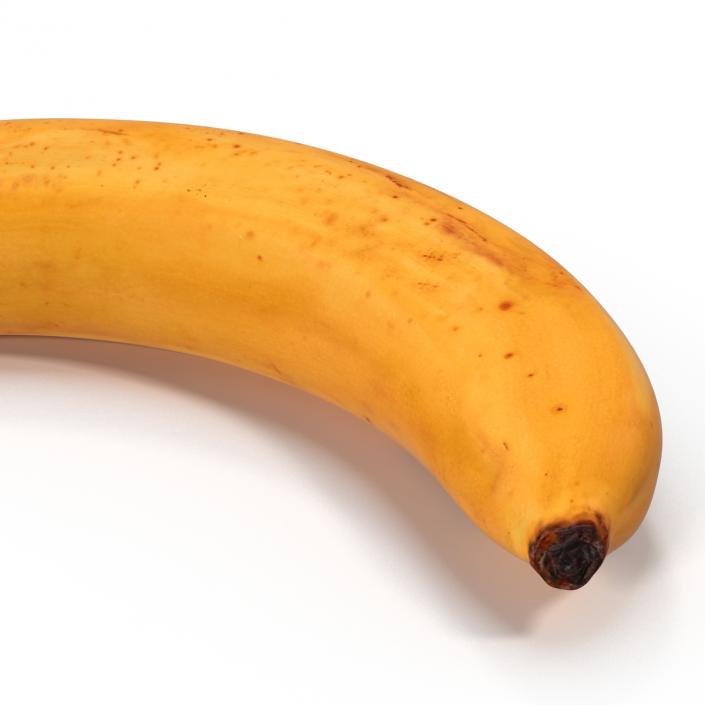 3D model Banana 3