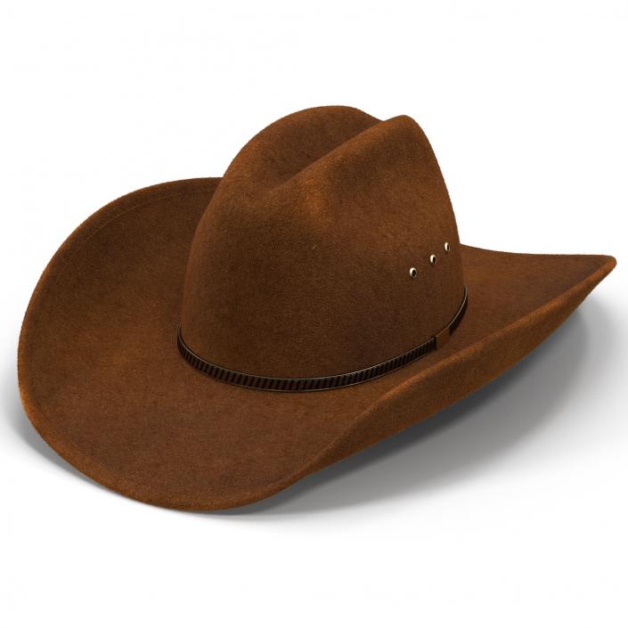 3D model Cowboy Hat