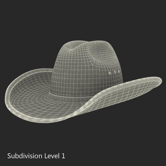 3D model Cowboy Hat