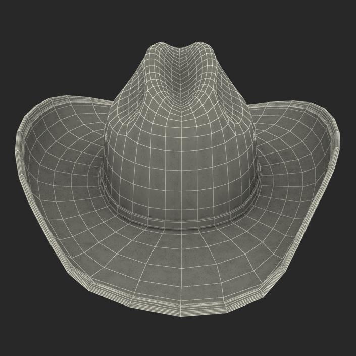 3D model Cowboy Hat