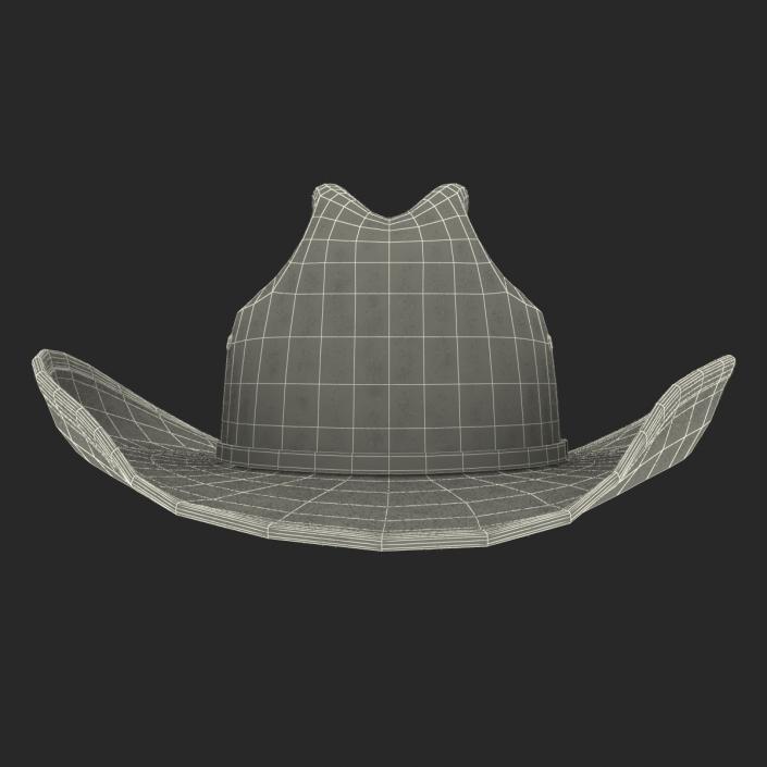 3D model Cowboy Hat