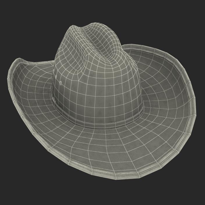 3D model Cowboy Hat