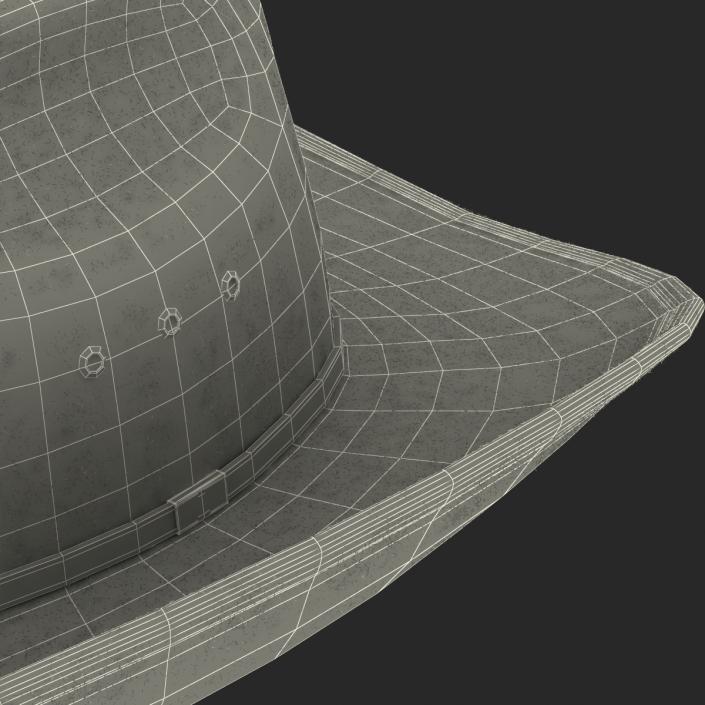 3D model Cowboy Hat