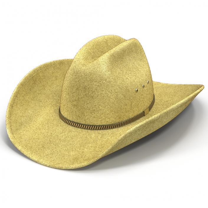 Cowboy Hat 3 3D