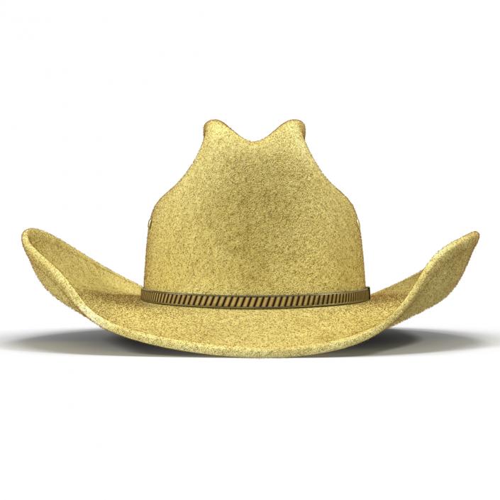 Cowboy Hat 3 3D