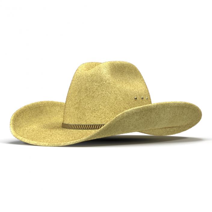 Cowboy Hat 3 3D