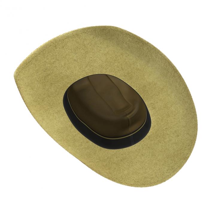 Cowboy Hat 3 3D