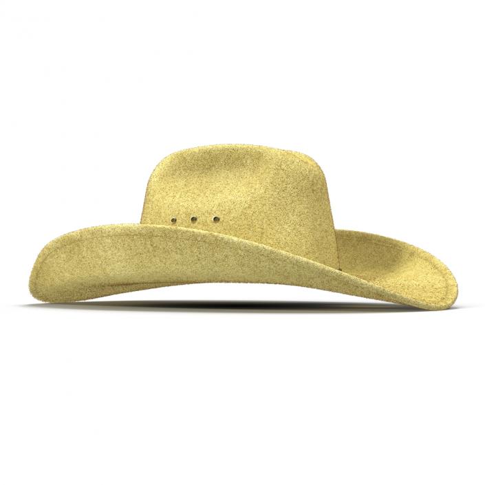 Cowboy Hat 3 3D