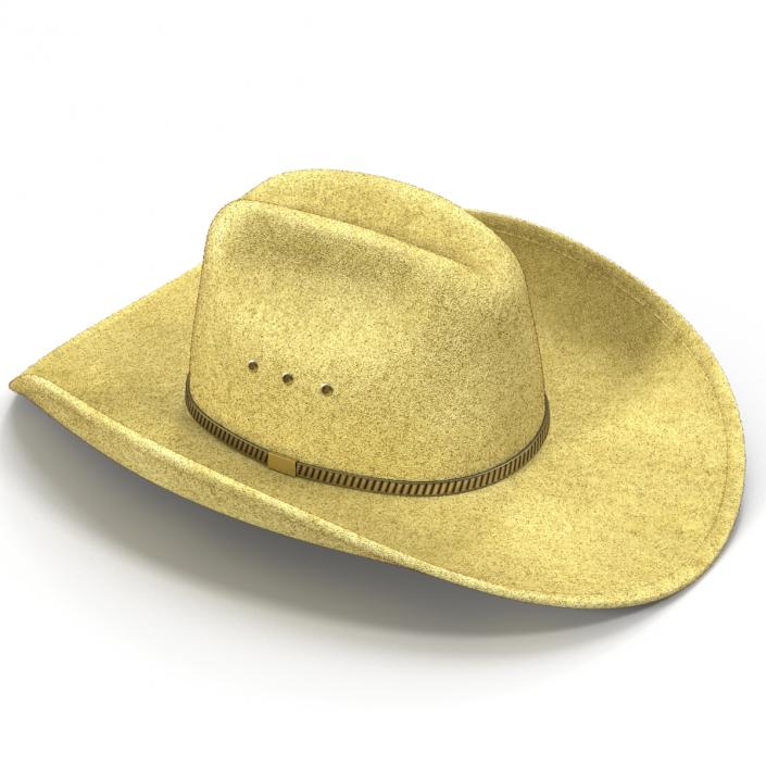 Cowboy Hat 3 3D