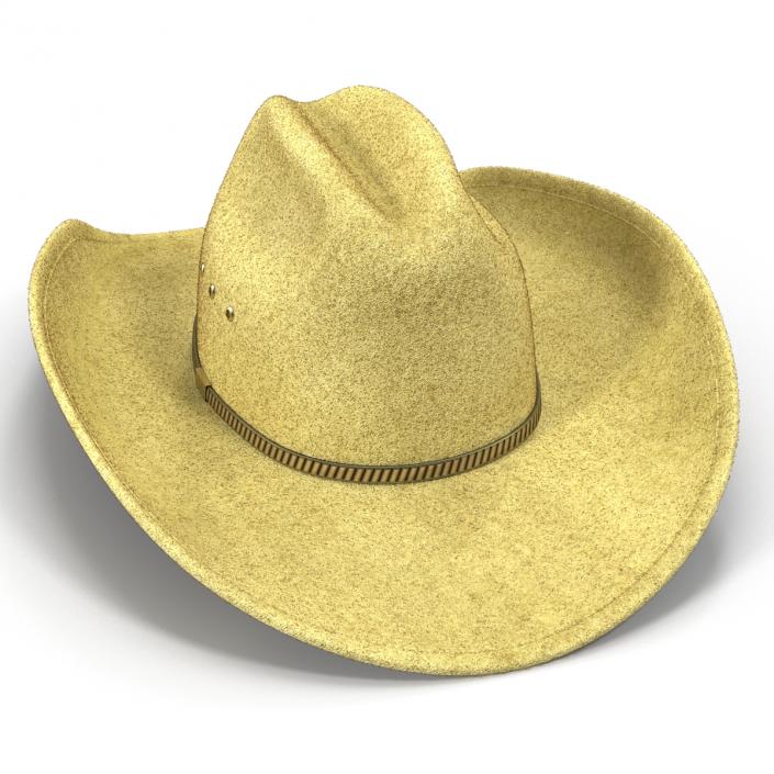 Cowboy Hat 3 3D