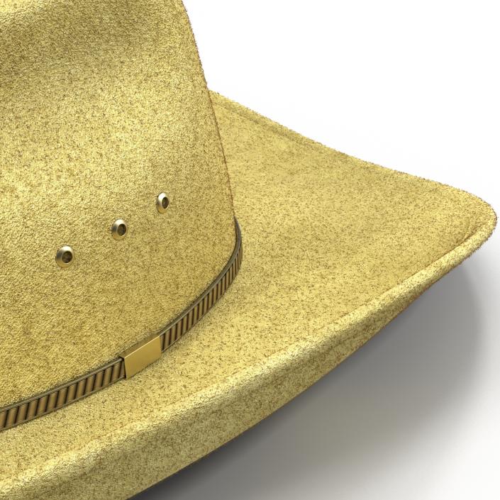 Cowboy Hat 3 3D