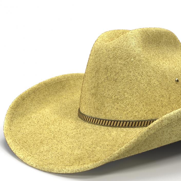 Cowboy Hat 3 3D