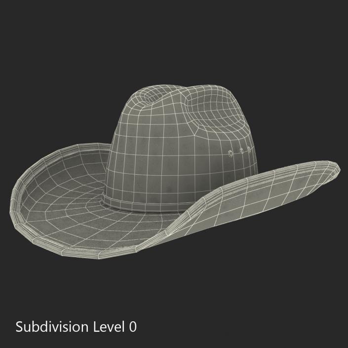 Cowboy Hat 3 3D