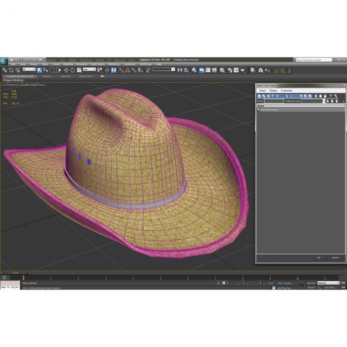 Cowboy Hat 3 3D