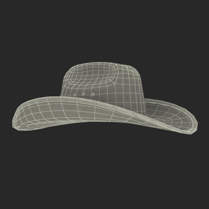 Cowboy Hat 3 3D