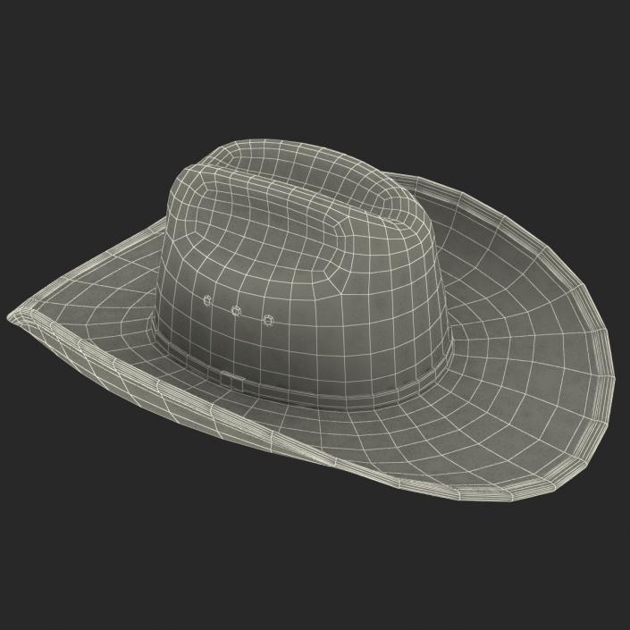 Cowboy Hat 3 3D