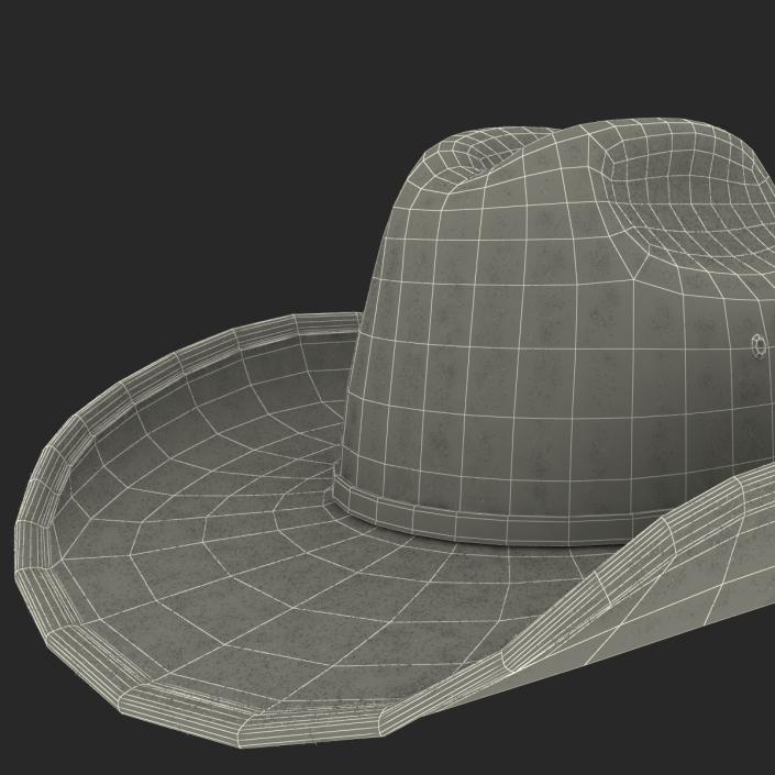 Cowboy Hat 3 3D