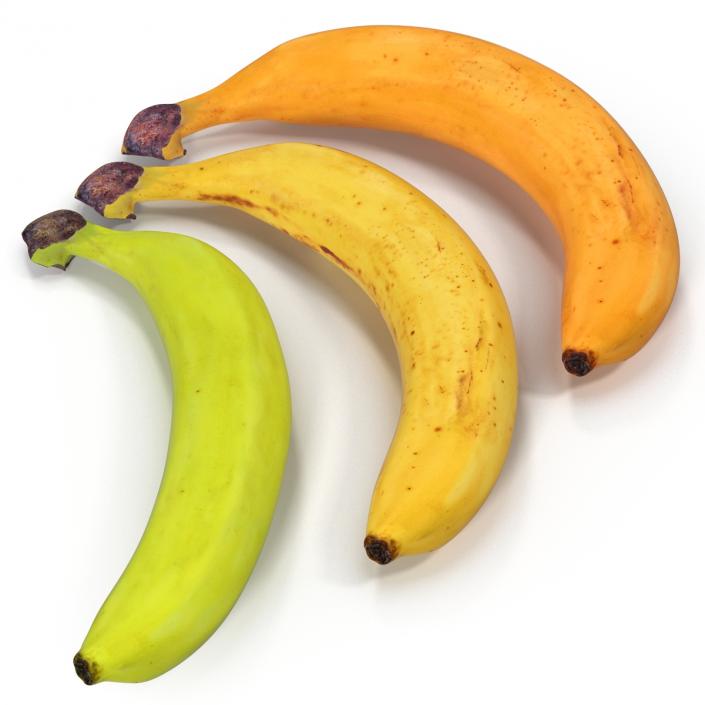 3D Bananas 3D Models Collection model