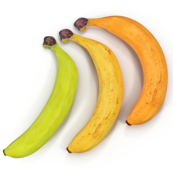 3D Bananas 3D Models Collection model