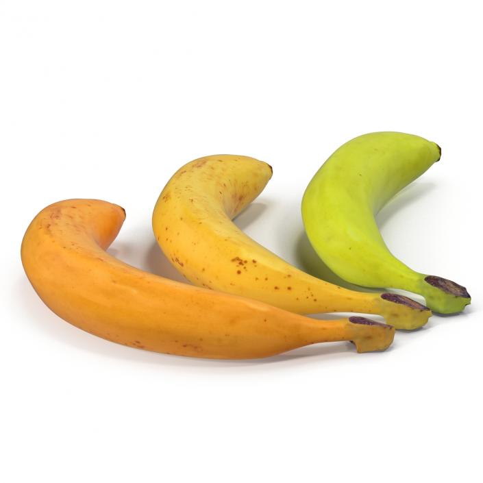 3D Bananas 3D Models Collection model