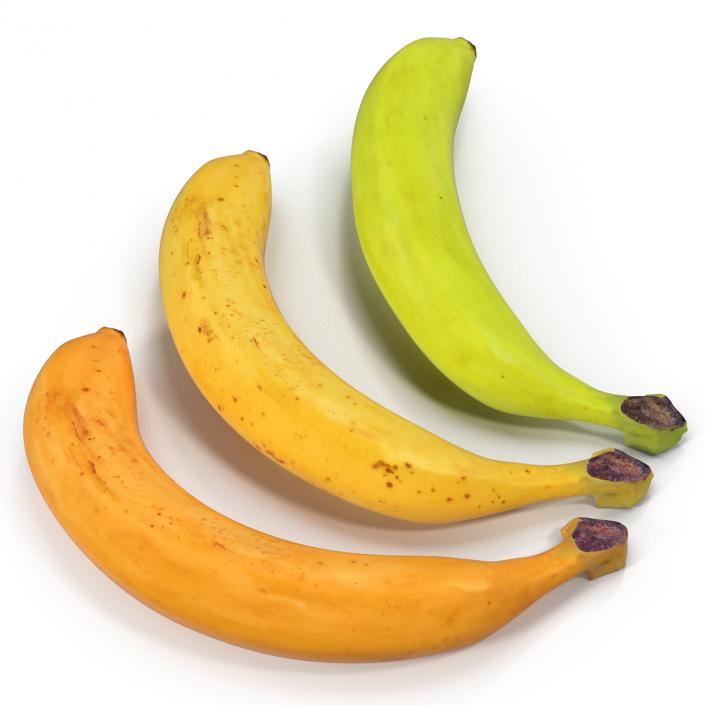 3D Bananas 3D Models Collection model