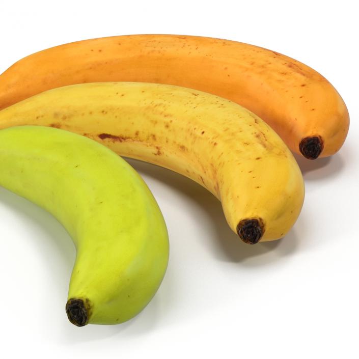 3D Bananas 3D Models Collection model