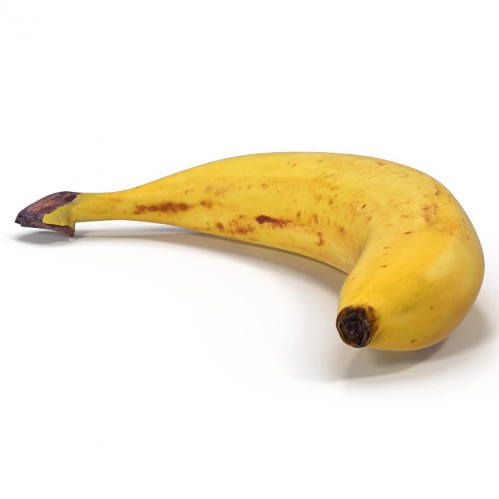 3D Bananas 3D Models Collection model