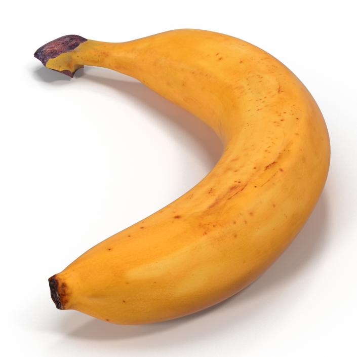 3D Bananas 3D Models Collection model