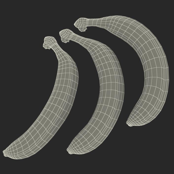 3D Bananas 3D Models Collection model