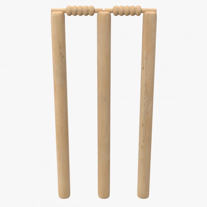 Cricket Wicket 3D model